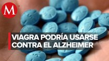 El principio activo del viagra muestra potencial contra el alzheimer