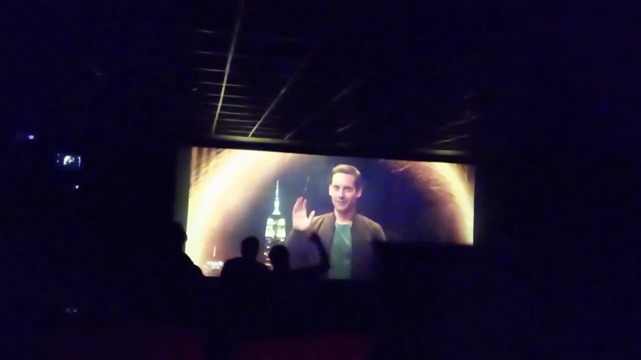 Tobey Maguire entry in Spideman No Way Home_  Crazy Theatre Reaction.