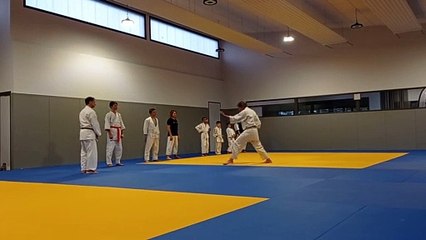 Retour en vidéo (3) - Stage de Karaté-Do Shotokai - Ecole Mushinkai (L'Union - novembre 2021)