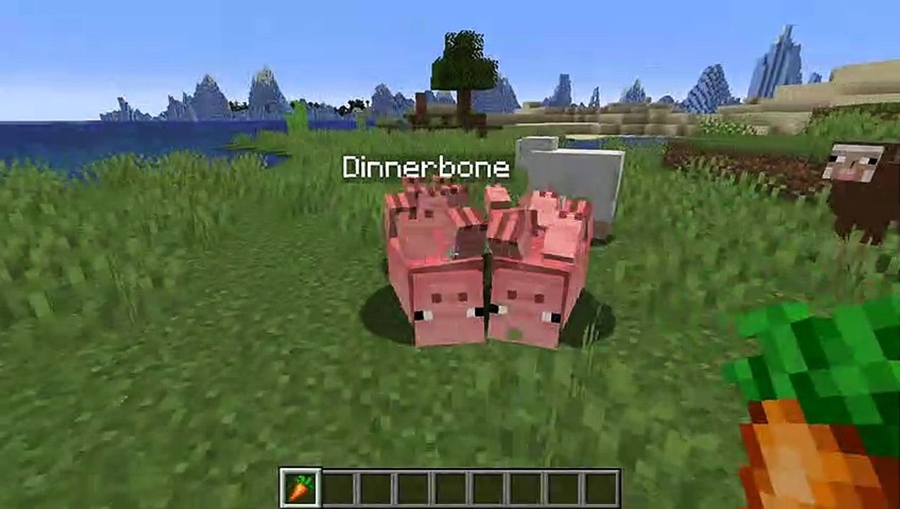 Minecraft Funny Upside Down Animals