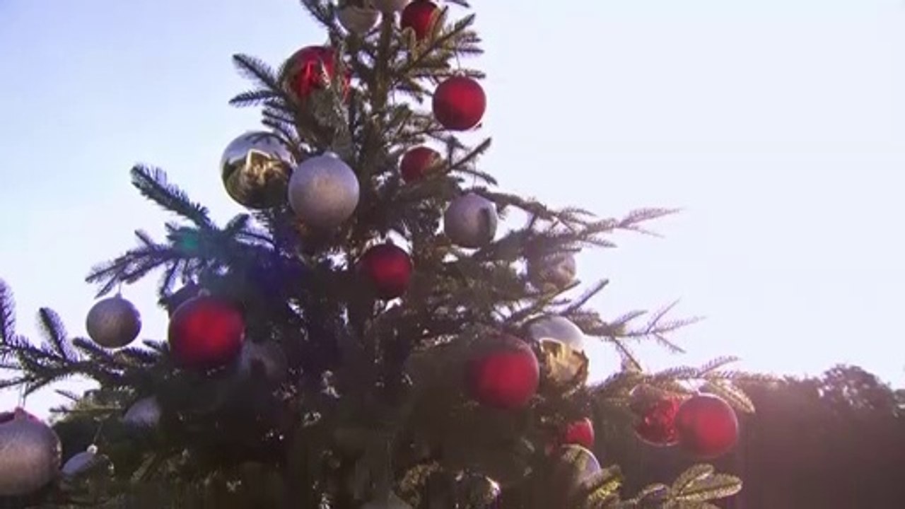 TheGreatCanadianHolidayBakingShow_20212