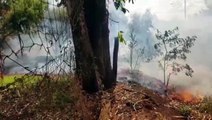 Bombeiros combatem incêndio ambiental no Bairro Santa Cruz, em Cascavel