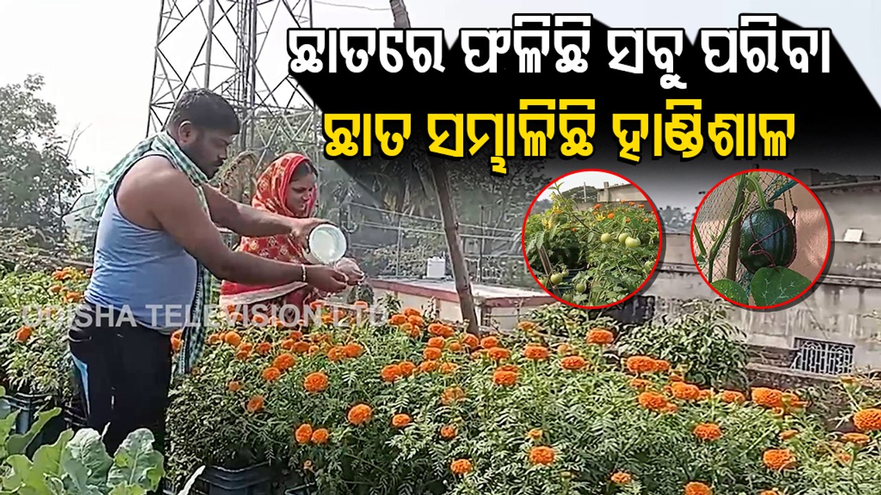 Take A Look At This Unique Rooftop Kitchen Garden