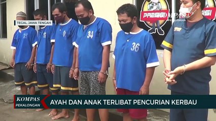 Ayah dan Anak Terlibat Pencurian Kerbau
