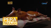 Pera Paraan: Cochinillo business na nagsimula sa puhunang P4,000, 6 digits na ang kita!