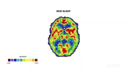 The Mind, Explained Saison 1 - Trailer (EN)