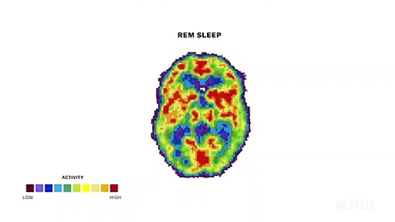 The Mind, Explained Saison 1 - Trailer (EN)