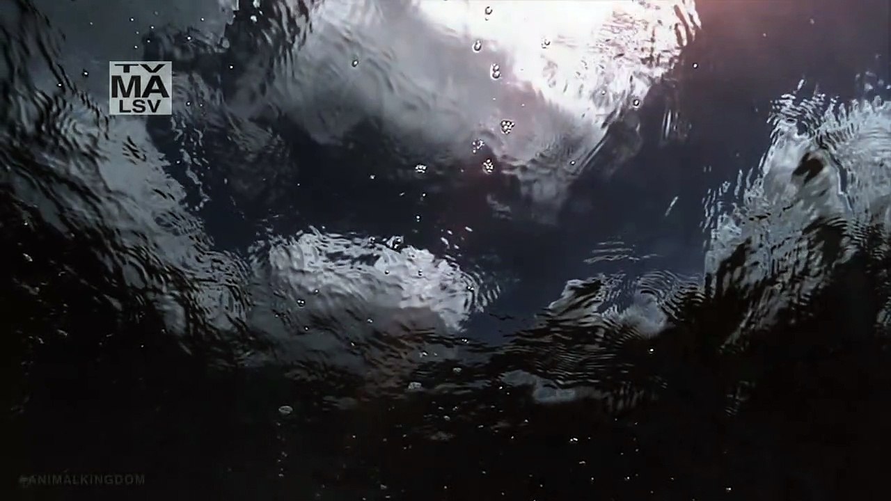 Animal Kingdom (2016) Saison 2 - Teaser 2 (EN)