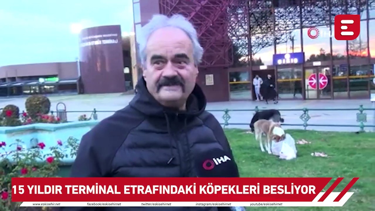 15 yıldır terminal etrafındaki köpekleri besliyor