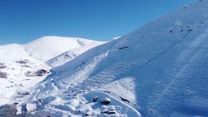 Kış şartlarına rağmen çocukluğunun geçtiği yaylayı ağaçlandırmaya çalışıyor