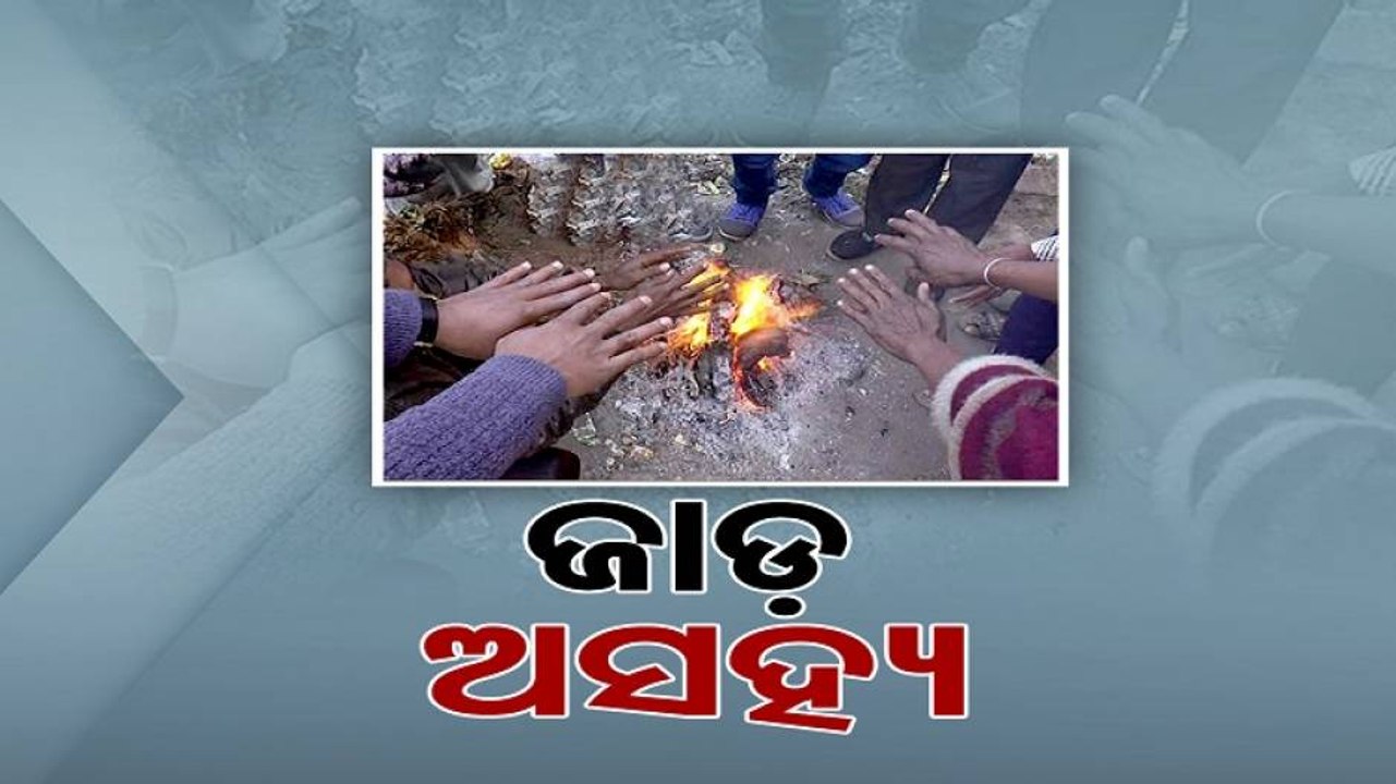 Severe Cold Wave Alert Sounded For Odisha; IMD Issues Orange, Yellow Warning