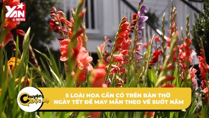 5 loài hoa cần có trên bàn thờ ngày Tết để gia đạo an lành, may mắn theo về suốt năm | Điện Ảnh Net