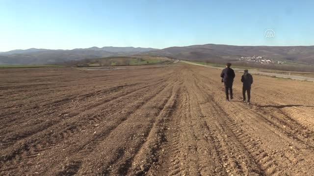 Samsun'da görevli doktor ürettiği tıbbi papatya yağını, kilogramı 6 bin avrodan ihraç etti