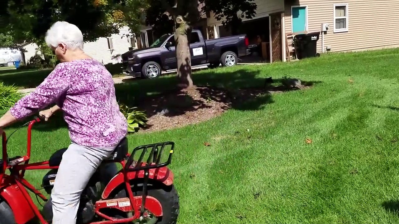 Things We Feel Bad LAUGHING AT!  - Funny Videos - AFV 2019