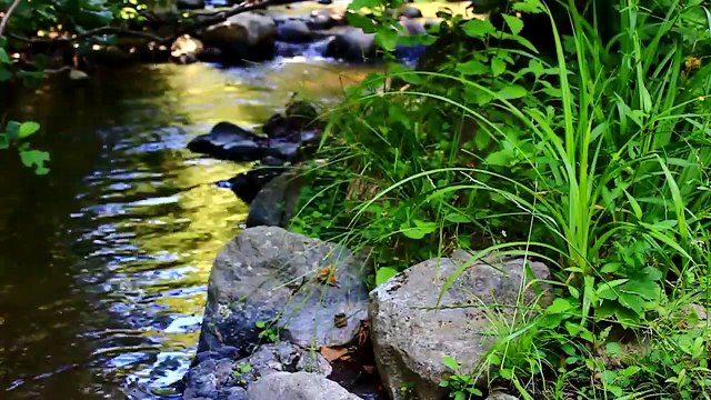 Beautiful Relaxing Music for Stress Relief • Meditation Music, Sleep Music, Ambient Music.