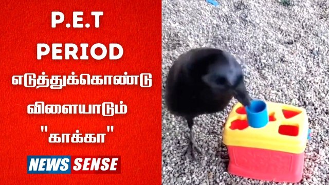 Thumbnail