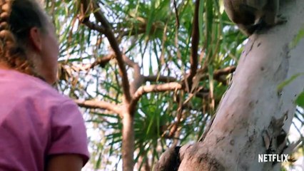 Izzy's Koala World Saison 2 - Trailer (EN)