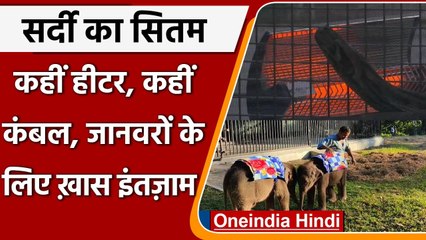 Lucknow Zoo में जानवरों को ठंड से बचाने के लिये किए गए ये खास इंतजाम | वनइंडिया हिंदी