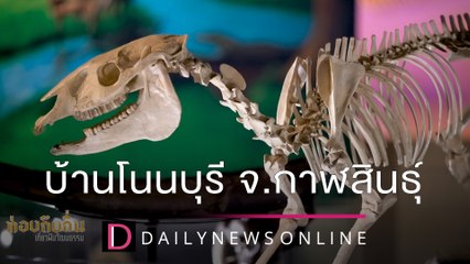 ปัญหาซ้ำซาก สายเคเบิ้ลห้อยลงถนน รถวิ่งผ่านเกี่ยวคว่ำบาดเจ็บ | ชนคลิปข่าว 22/12/64 เดลินิวส์