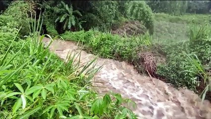Violentes crues dans l'Est
