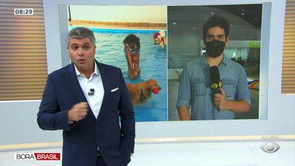 "Cachorródromo" em São Paulo faz parte de campanha de Natal solidário para cachorros abandonados. Ajuda vai desde ração à roupinhas.