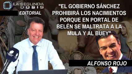 Alfonso Rojo: “El Gobierno Sánchez prohibirá los nacimientos porque en el portal de Belén se 'maltrata'  a la mula”