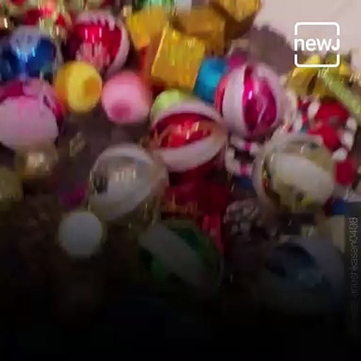 Watch, TV Stars And Bollywood Stars Christmas Preparation Ahead Of Christmas