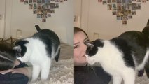 'French woman pretends to cry in front of pet cat to see its reaction'