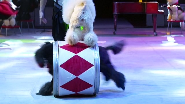 Лучшие клоуны мира : завершился фестиваль в честь 100-летия Юрия Никулина