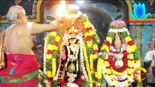 #Templevision24 #Tv24 #ஸ்ரீவில்லிபுத்தூர் வைத்தியநாத சுவாமி திருக்கோவிலில் ஆருத்ரா தரிசனம் |