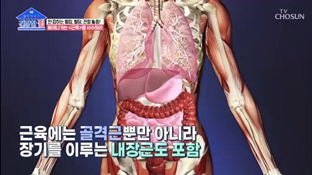 혈압&혈당 조절.. ‘근육’이 필수다!? TV CHOSUN 20211220 방송