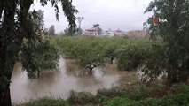 Asi Nehri taştı bahçeler sular altında kaldı