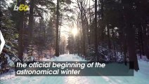 The Ins and Outs of Winter Solstice and the Longest Night of the Year