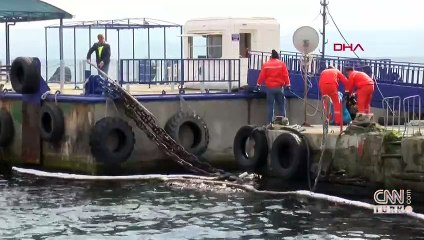 Deniz Salyası Araştırma Komisyonu rapor hazırlıyor