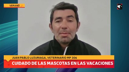 Cuidado de las mascotas en las vacaciones
