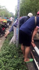 Owner Jumps Down Drain to Save Dog