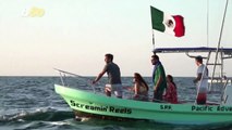 Tourists Enjoy the Return of Humpback Whales To Mexican Coasts