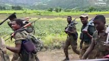 Etiopia, i ribelli annunciano il ritiro per consentire gli aiuti umanitari