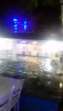 Nadir Saltık - Nadir Saltık was live at Havuzlu Bahçe Et