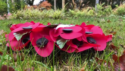 Veterans and the return to ‘norm’