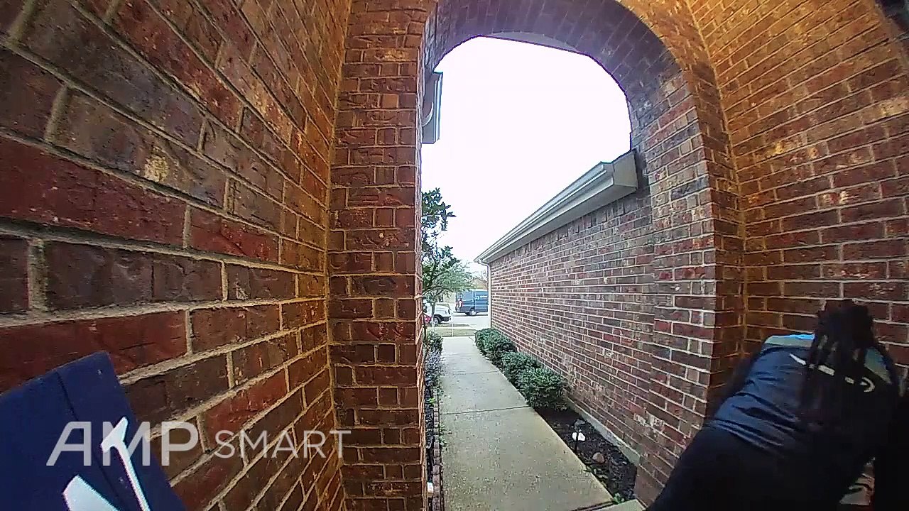 Dog Chases Down Delivery Driver for Second Package
