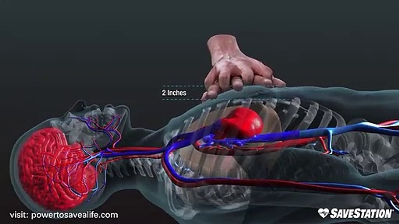 CPR in Action - A 3D look inside the body