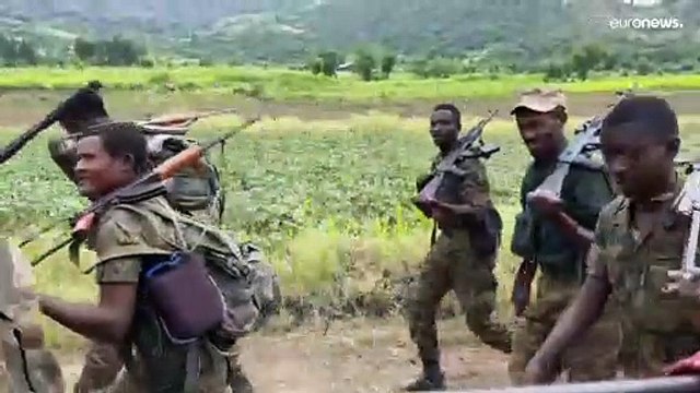 Ethiopie : les rebelles du Tigré quittent les régions de l'Amhara et l'Afar. Retrait ou revers ?