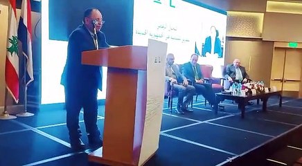 وزير المالية التحول الرقمى يساهم مكافحة الفساد وتوفير النفقات