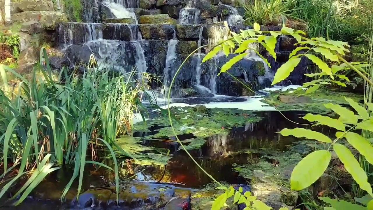 The most beautiful music with the sounds of nature for meditation, relaxation and relaxation