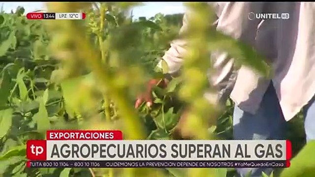 Récord de exportaciones no tradicionales en Bolivia en 2021