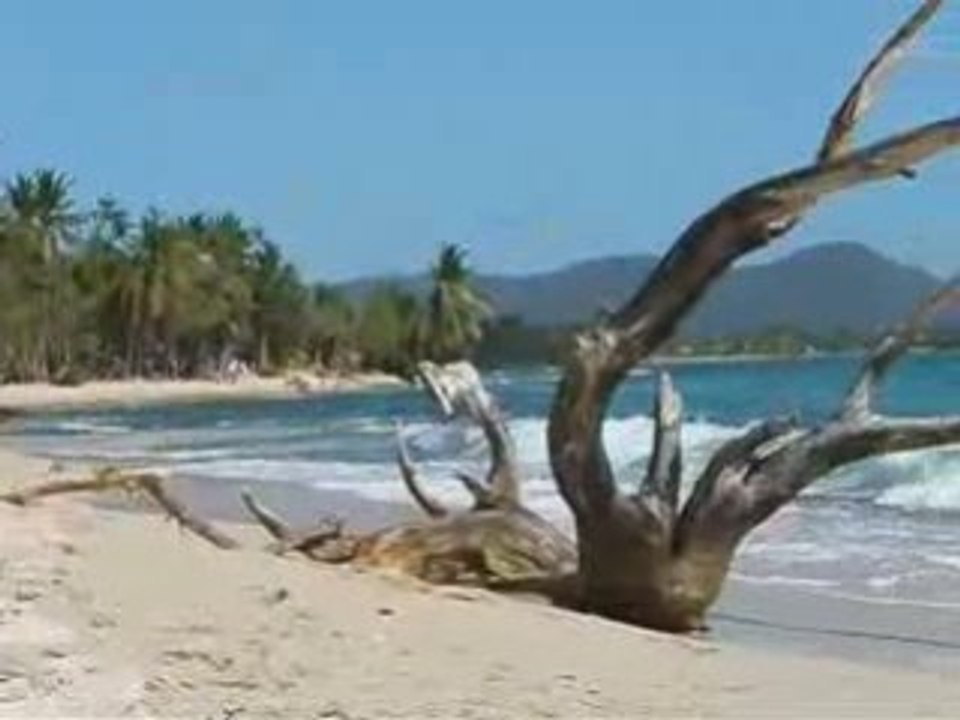 paysage   de    LA MARTINIQUE    www.marceltronet.com
