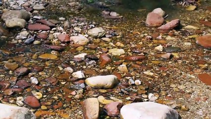 احساس رائع مع خرير المياه وصوت الطيور