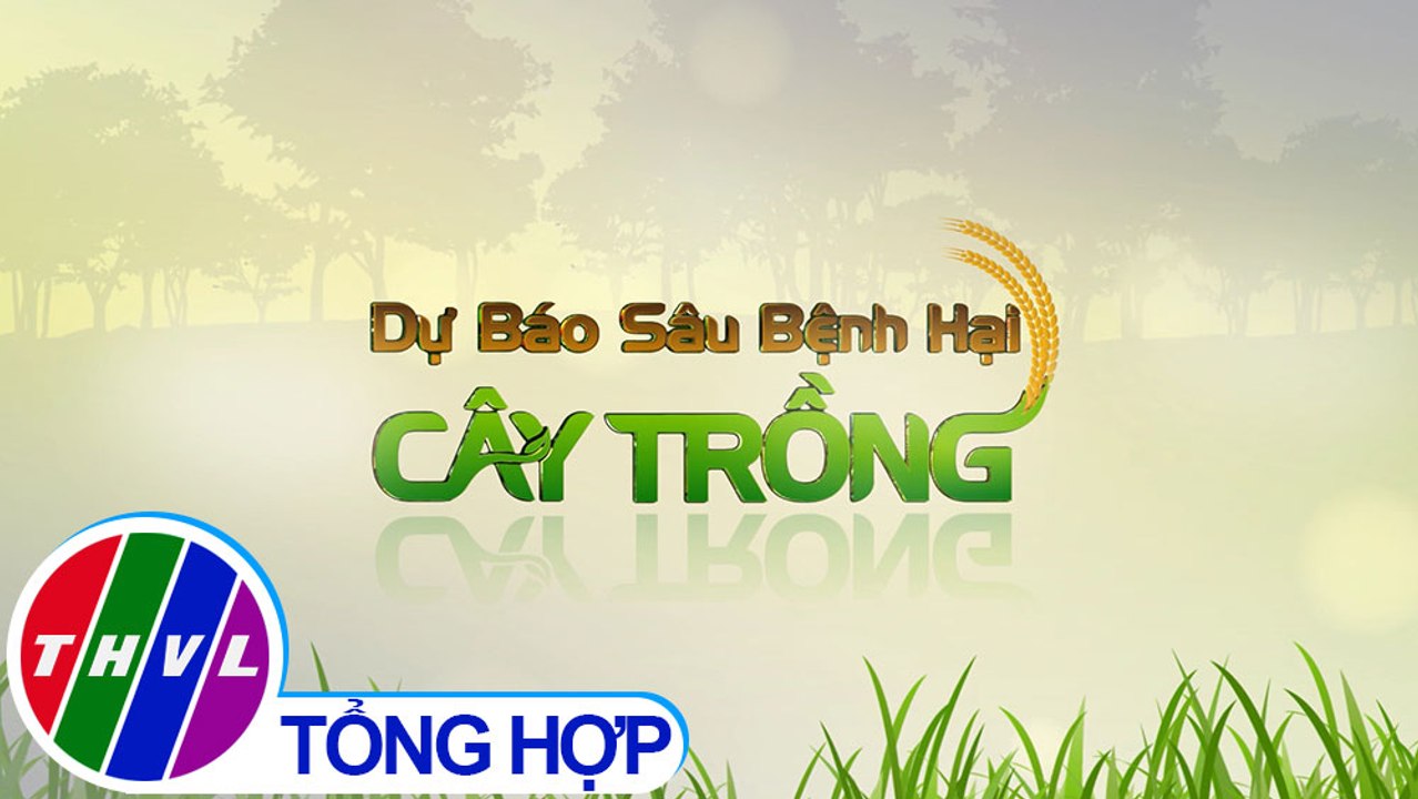 Dự báo sâu bệnh hại cây trồng (20/12/2021)