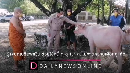 ผู้ใจบุญบริจาคเงิน‘วัดอีแงว’ ใช้หนี้ ทะลุ 1.7 ล.ไม่ขายควายเผือกคู่แล้ว|ชนคลิปข่าว 21/12/64 เดลินิวส์
